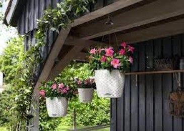 Характеристики на използването на високи саксии