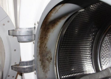 Как да се отървете от мухъл в пералня?