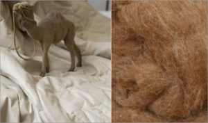 Как да перете одеяло от камилска вълна