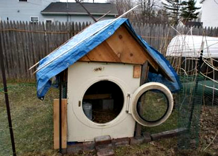 Кучешка колиба